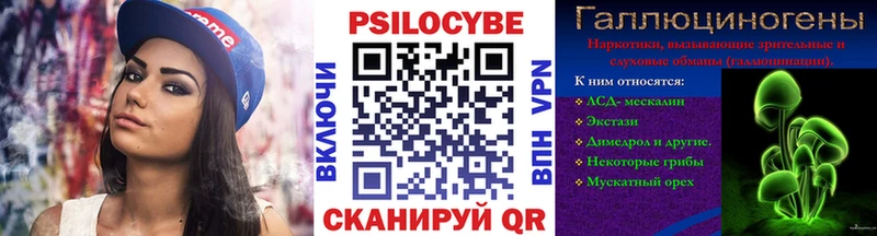 Галлюциногенные грибы Psilocybine cubensis  Печора 